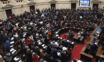 ley Bases diputados