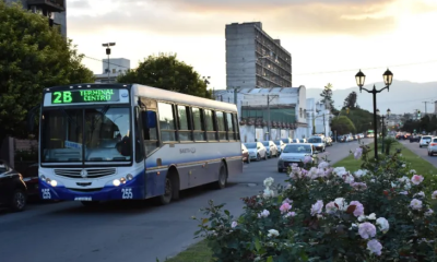 paro de colectivos